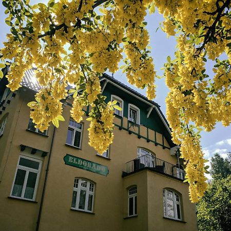Pensjonat Eldorado Świeradów-Zdrój 外观 照片