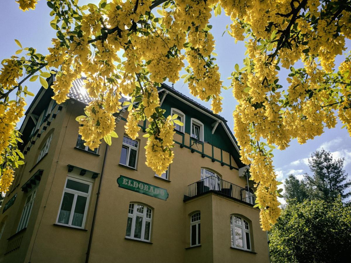 Pensjonat Eldorado Świeradów-Zdrój 外观 照片